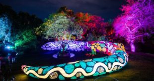 A photo of a colourful statue of a giant snake, lit up by multi-coloured lights.